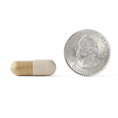 Neuriva Nootropic Brain Suplemento Plus Mejora Memoria Y Concentracion - Imagen 15