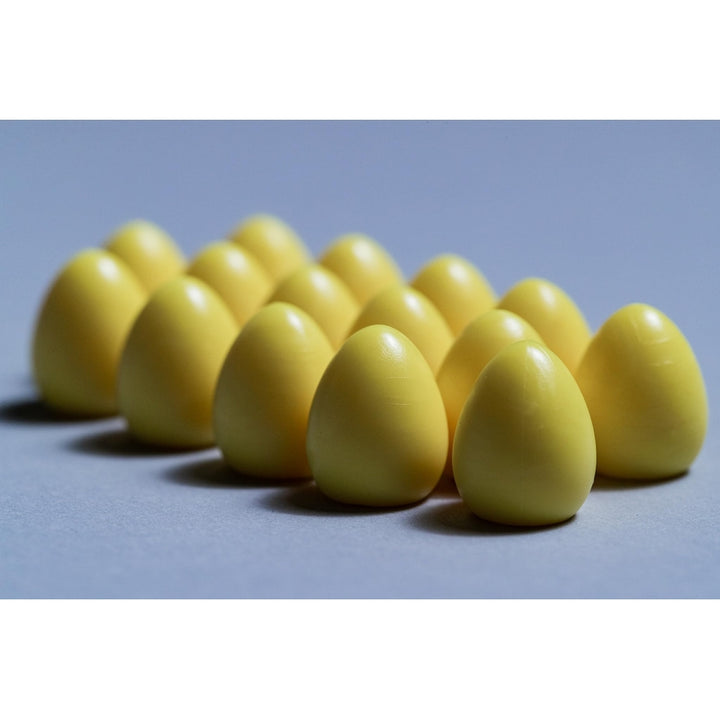 Expansión Wingspan Oceania Stonemaier Games 95 Aves Nuevas y Modo Cooperativo - Imagen 7