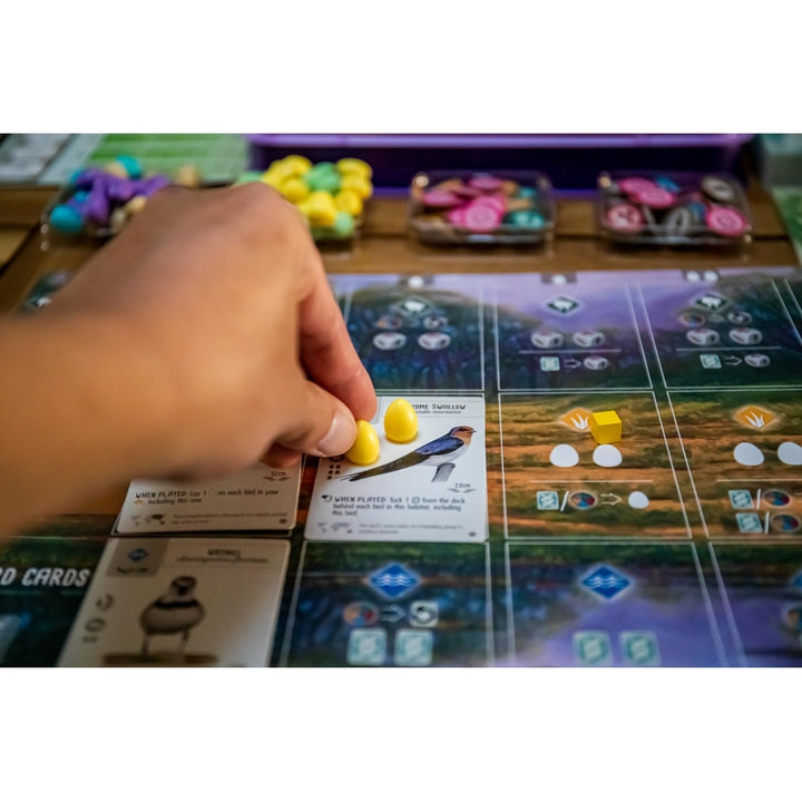 Expansión Wingspan Oceania Stonemaier Games 95 Aves Nuevas y Modo Cooperativo - Imagen 2