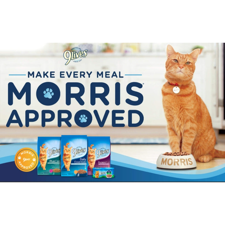 9Lives Pack Variado de Alimento Húmedo para Gatos - Sabores de Pollo y Pescado, Nutrición Completa y Deliciosa - Imagen 4