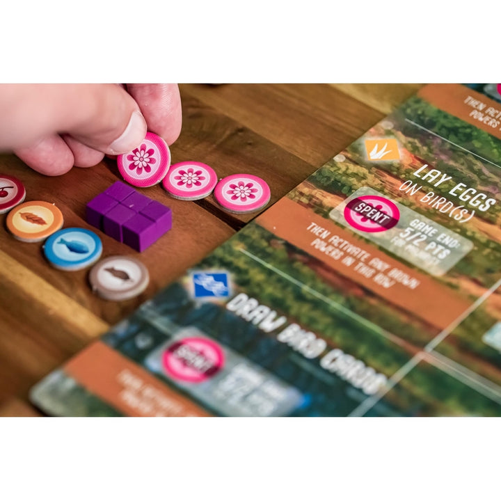 Expansión Wingspan Oceania Stonemaier Games 95 Aves Nuevas y Modo Cooperativo - Imagen 3