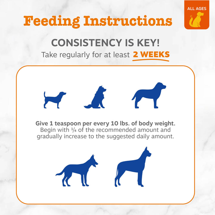 Aceite De Coco Virgen Orgánico Para Perros Salud Digestiva Y Pelaje Brillante - Imagen 3