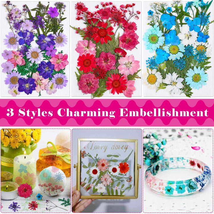 100 Piezas De Flores Secas Para Resin Thrilez Naturales Coloridas Versatilidad Premium - Imagen 5