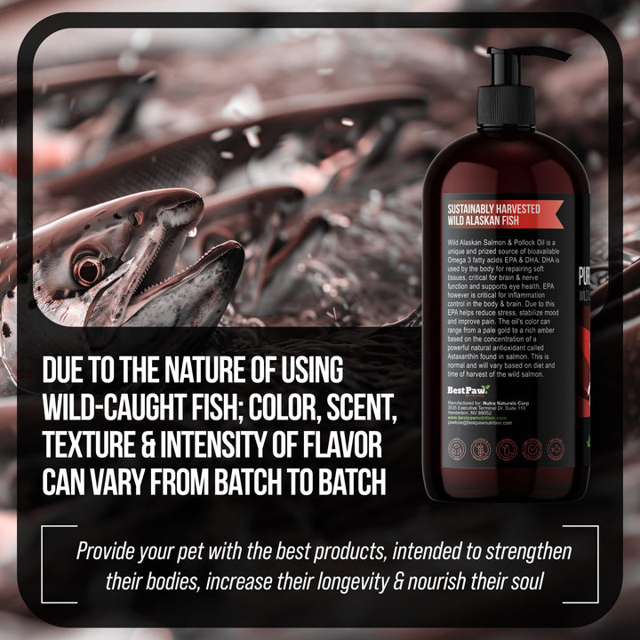 Aceite De Salmón Omega 3 Para Perros Y Gatos Piel Sana - Imagen 6