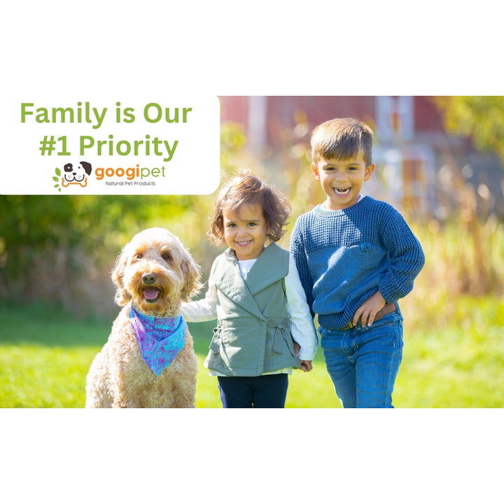 Probióticos Masticables Naturales Para Perros Con Calabaza Y Prebióticos - Imagen 8