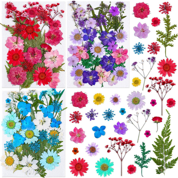 100 Piezas De Flores Secas Para Resin Thrilez Naturales Coloridas Versatilidad Premium - Imagen 1