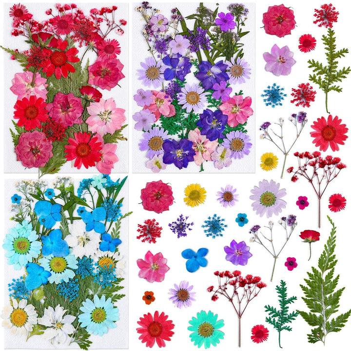 100 Piezas De Flores Secas Para Resin Thrilez Naturales Coloridas Versatilidad Premium - Imagen 1