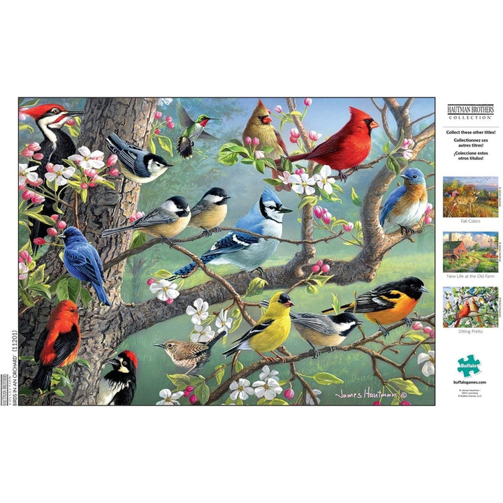 Rompecabezas 1000 Piezas Aves En El Huerto Diseño Colorido Para Adultos - Imagen 5