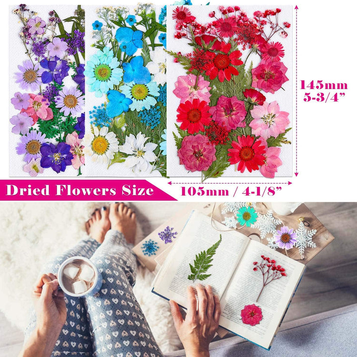 100 Piezas De Flores Secas Para Resin Thrilez Naturales Coloridas Versatilidad Premium - Imagen 3
