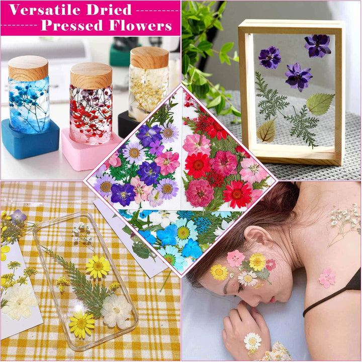 100 Piezas De Flores Secas Para Resin Thrilez Naturales Coloridas Versatilidad Premium - Imagen 2