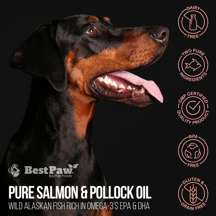 Aceite De Salmón Omega 3 Para Perros Y Gatos Piel Sana - Imagen 8