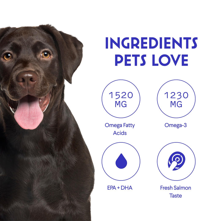 Aceite Omega 3 De Salmón Bacalao Y Krill Para Perros Salud Y Brillo - Imagen 6
