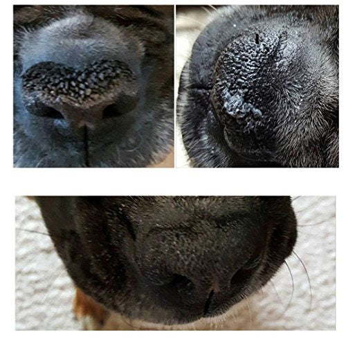 The Blissful Dog Nose Butter Nariz Suave Y Saludable Para Tu Perro - almacenspeedway