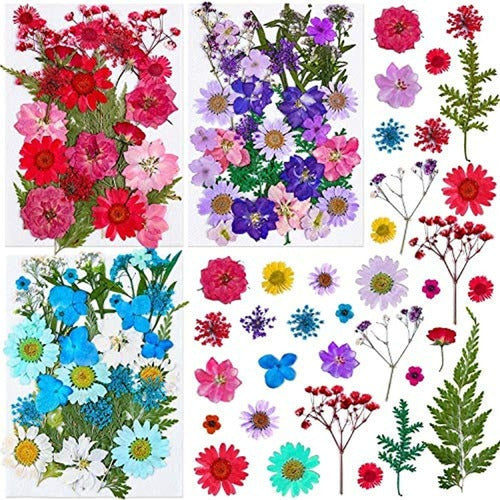 100 Piezas De Flores Secas Para Resin Thrilez Naturales Coloridas Versatilidad Premium