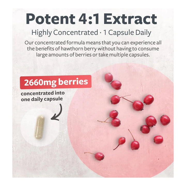 Cápsulas Bayas De Espino Extracto Concentrado 500 Mg Para Sa - Imagen 3