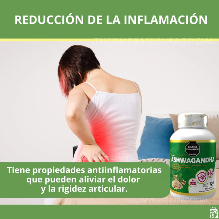Ashwagandha Adaptógeno Potente Natural Estrés Ansiedad Sueño Original - Imagen 5