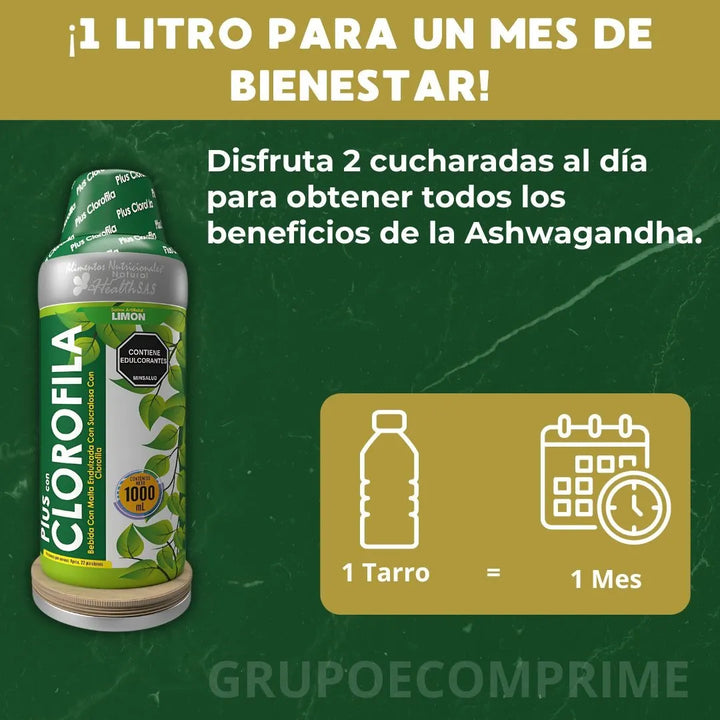Clorofila Liquida Pura Plus 1l Natural - Imagen 7