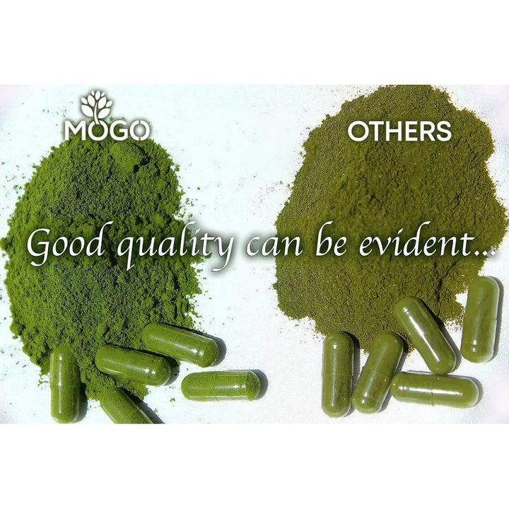 Cápsulas De Moringa Orgánica 180 Unidades Para Energía Inmun - Imagen 2