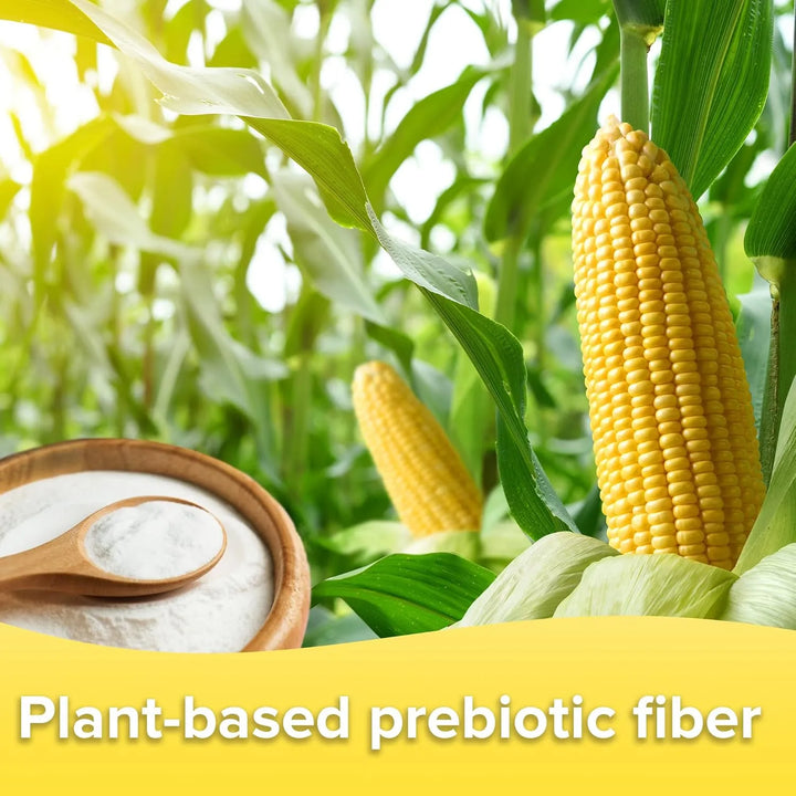 Fibra Prebiótica En Polvo Sin Sabor Para Salud Digestiva 30 - Imagen 4