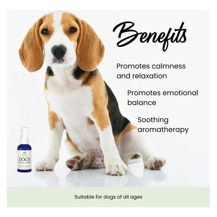 Aromaterapia Calmante Para Perros Con Lavanda Neroli Petitgr - Imagen 4