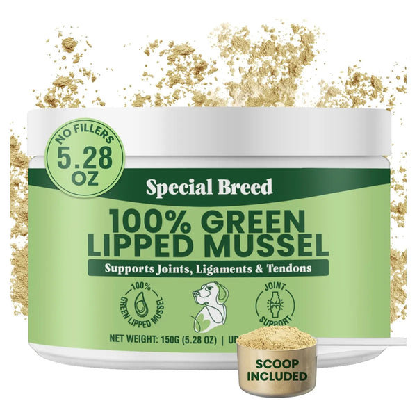 Mejillones De Labios Verdes En Polvo Para Perros Y Gatos Apo Nutricion Premium