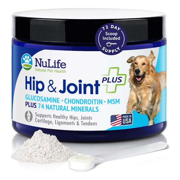 Polvo De Glucosamina Para Perros Alivia Dolor De Artritis Y Displasia De Cadera