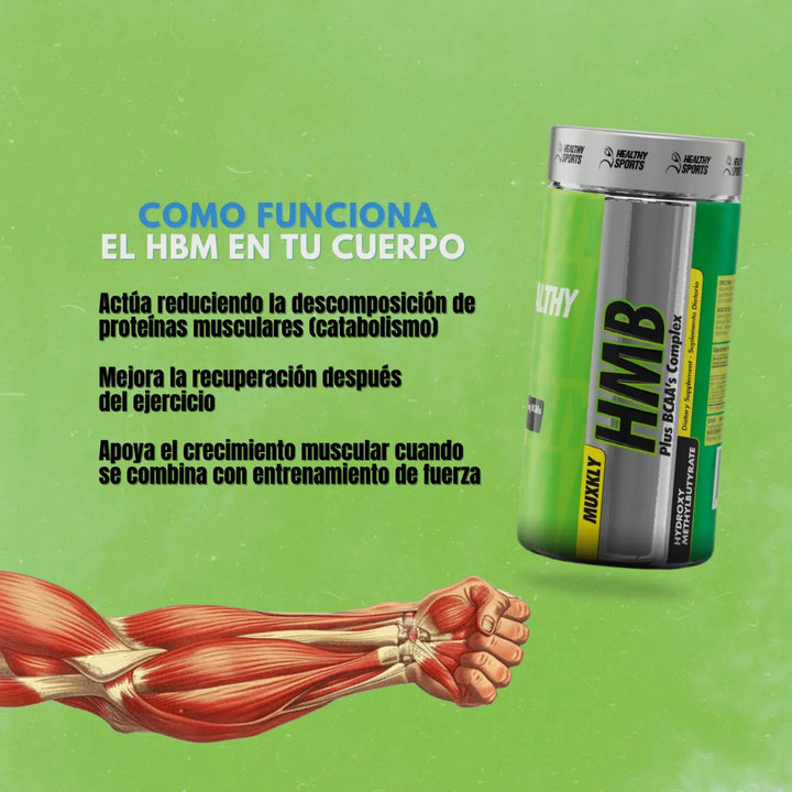 Hmb Aminoácido Suplemento - Imagen 2
