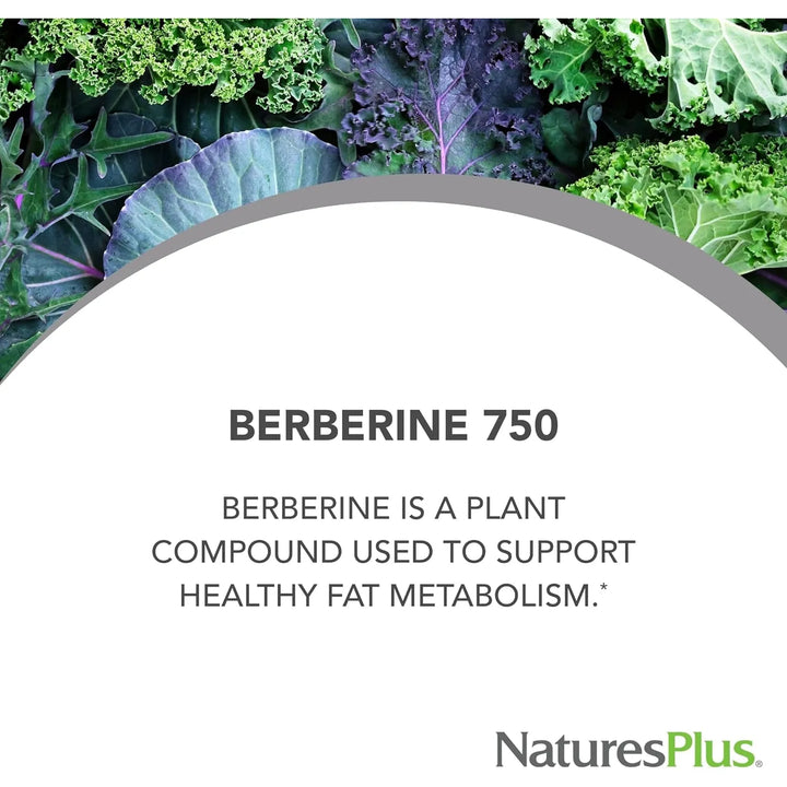 Berberina 750 Mg 60 Cápsulas Apoyo Metabolismo Saludable 30 - Imagen 4