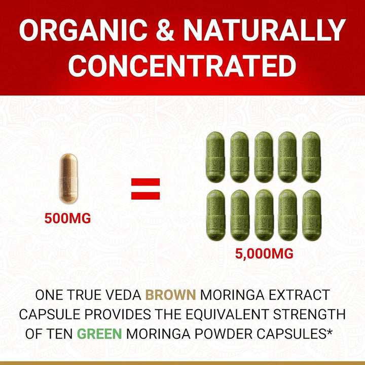 Cápsulas Orgánicas De Moringa Oleifera Con Hojas Naturales C - Imagen 3