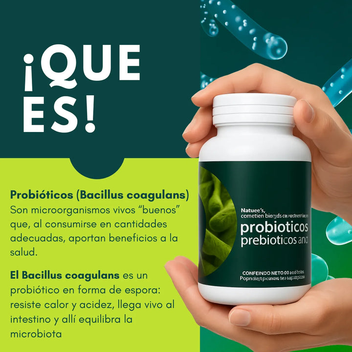 Probioticos Y Prebioticos Zinc Fem Ph+ N/a - Imagen 4