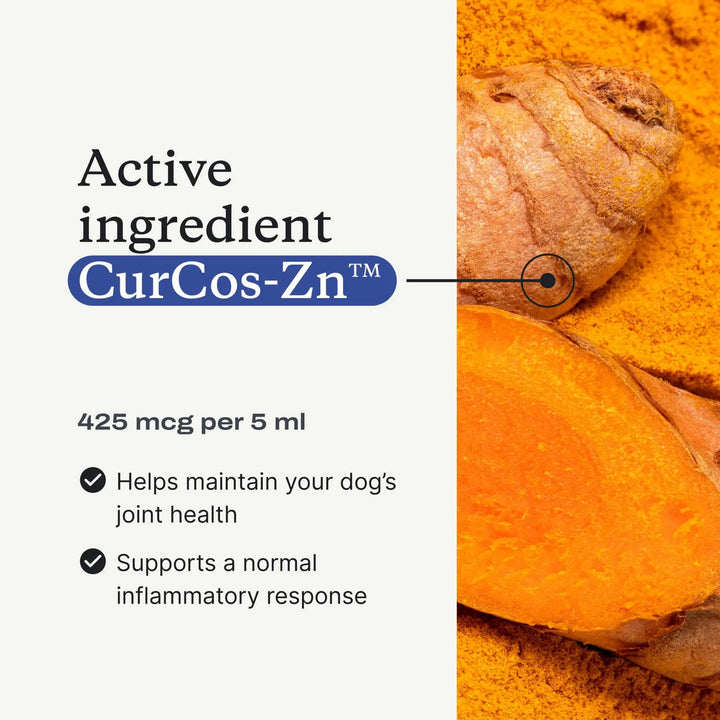 Aceite Articulaciones Movilidad Perros Curcumina Apoyo Artic - Imagen 4