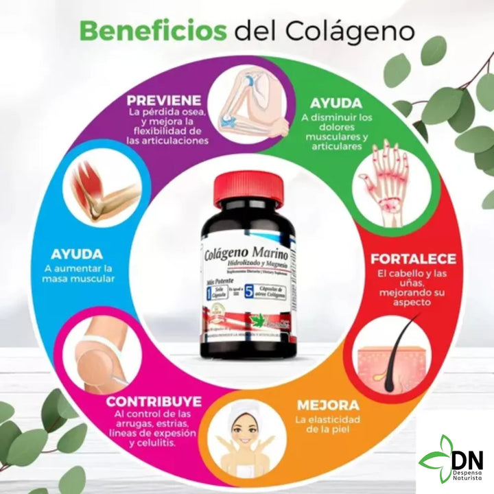 Colágeno Marino Hidrolizado Mas Magnesio Alta Concentracion - Imagen 2