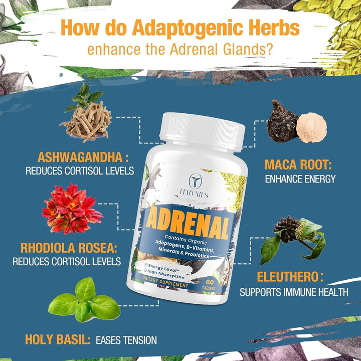 Complemento Natural Hierbas Adaptógenas Apoyo Suprarrenal Co - Imagen 3