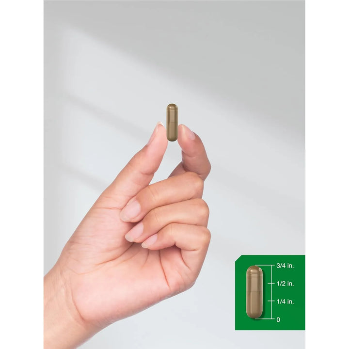 Cápsulas Extracto Hoja Morera 3000 Mg 220 Unidades Herbario - Imagen 7