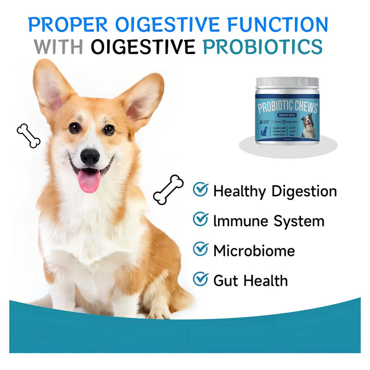 Masticables De Probióticos Y Enzimas Con Papaya Calabaza Y A - Imagen 2