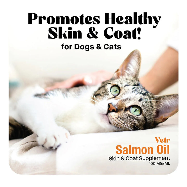 Aceite De Salmón Noruego Para Mascotas 500 Mililitros Omega - Imagen 7
