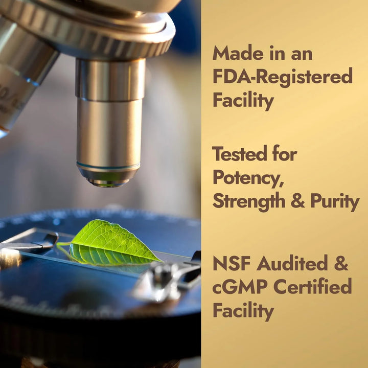 Aceite De Pescado 1100 Mg Omega 3 Epa Dha Cápsulas Blandas 1 - Imagen 4