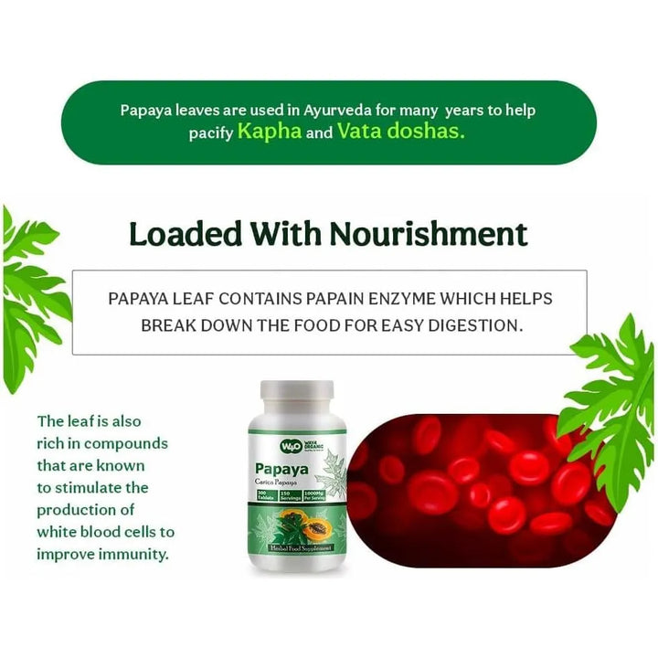 Cápsulas Extracto Hoja De Papaya 300 Tabletas 1000 Mg Apoyo - Imagen 9