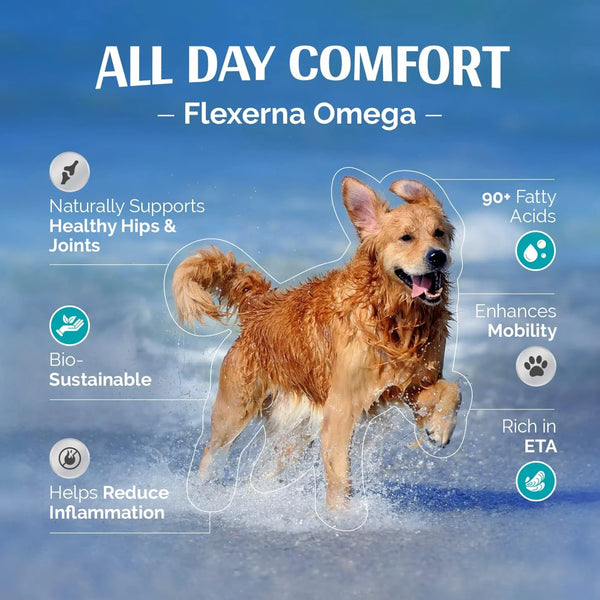 Aceite De Pescado Extra Fuerte Con Mejillon Suplemento Omega 3 Para Perros Salud Articular