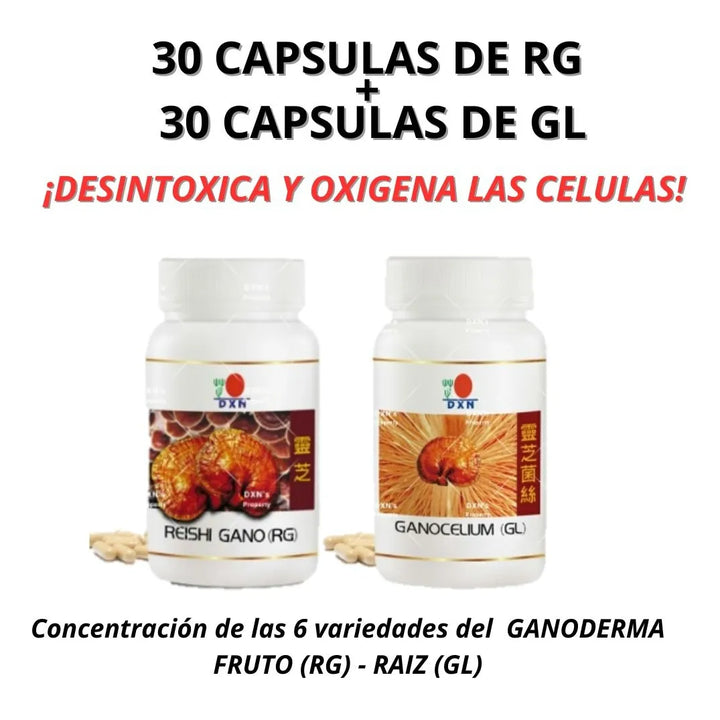 Cápsulas Ganoderma + Espirulina La Original Algas Marinas Y Ganoderma - Imagen 3