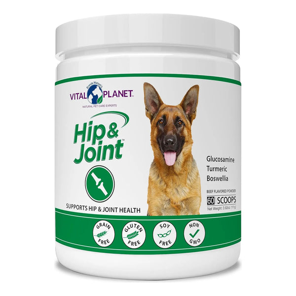 Suplemento En Polvo Apoyo Cadera Articulaciones Perros Glucosamina Curcuma Vital Planet