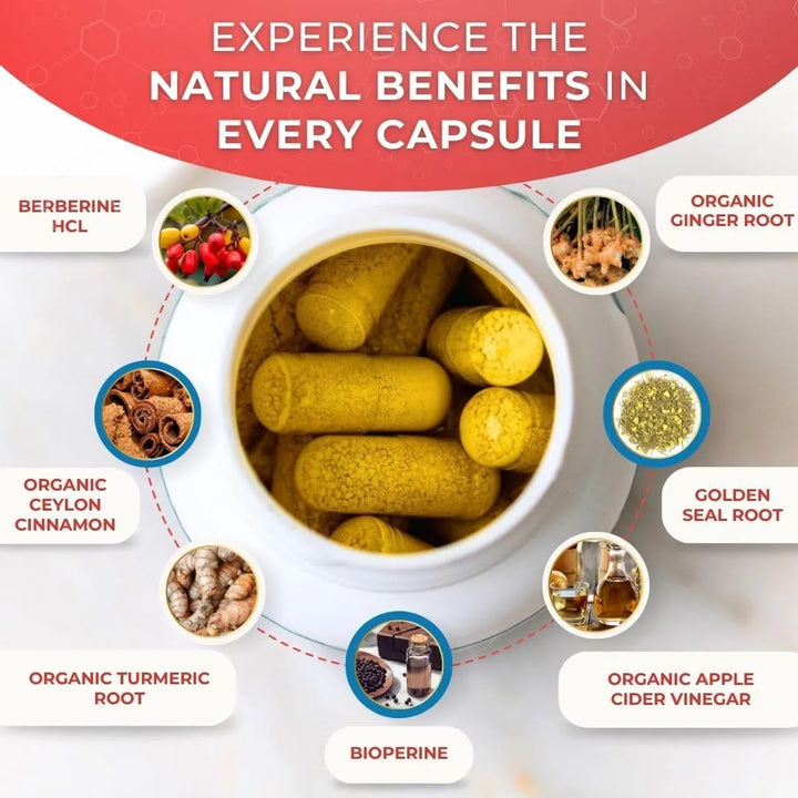 Cápsulas Orgánicas De Berberina 7 En 1 Con Bioperina 1025 Mg - Imagen 5