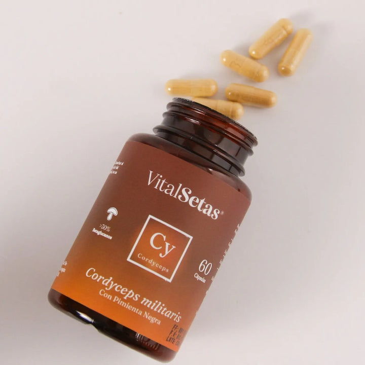 Cápsulas Cordyceps Vitalsetas Natural - Imagen 5