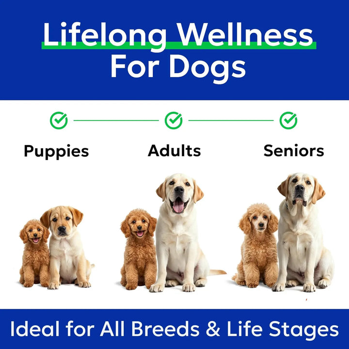 Aceite De Pescado Omega 3 Para Perros Y Gatos Con Aceite De - Imagen 7