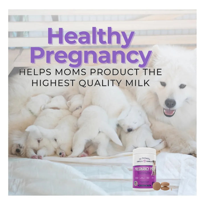 Vitaminas Prenatales Premium Para Perros Embarazo Lactancia - Imagen 2