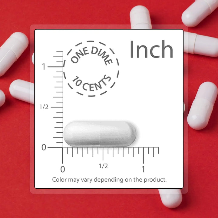 Berberina Hcl 1000 Mg Extracto Puro 97% 60 Cápsulas Antioxid - Imagen 5