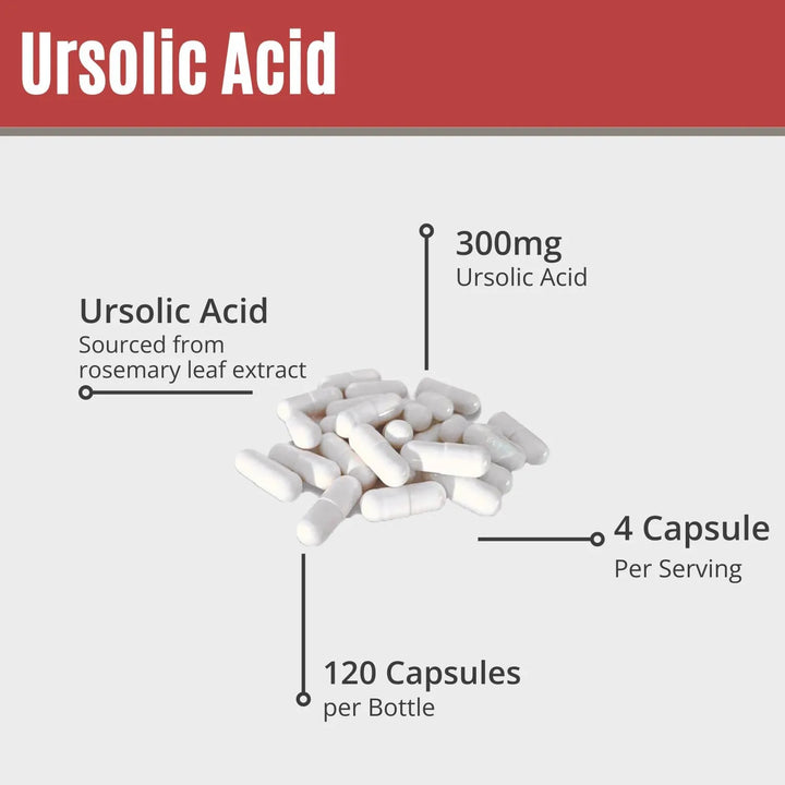 Ácido Ursólico 300mg Extracto De Romero Activador De Ampk Y - Imagen 5