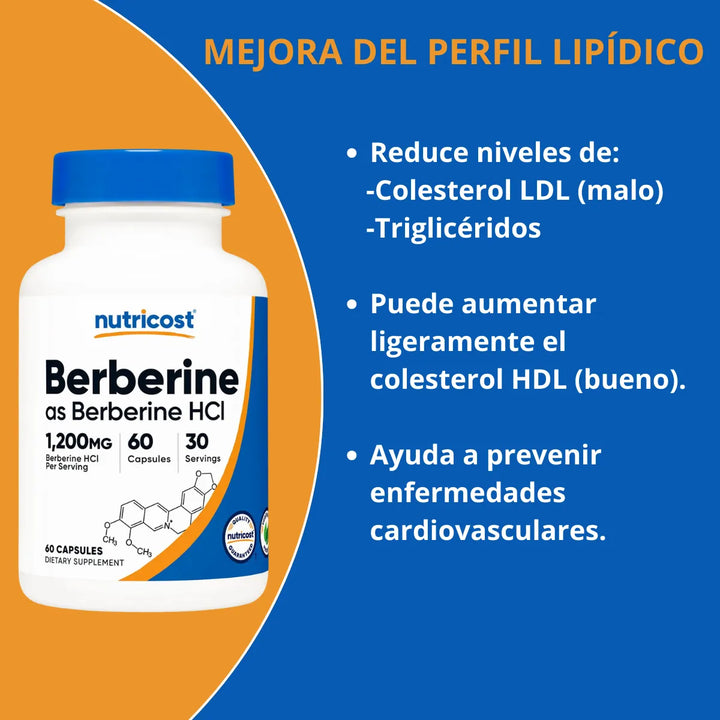 Berberina Berberine Hcl 1200mg 60 Cápsulas Suplemento Natural Control Glucosa Azúcar Colesterol Triglicéridos Energía Salud Digestiva Metabolismo Peso - Imagen 5