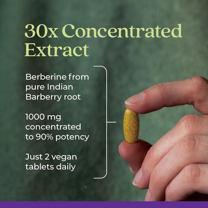 Berberina Superpotente 1000 Mg Extracto Concentrado Agracejo - Imagen 3