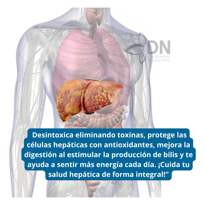 Limpiador Hepatico Liv C X90cap - Imagen 2